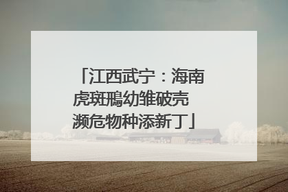 江西武宁：海南虎斑鳽幼雏破壳 濒危物种添新丁