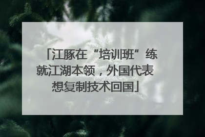 江豚在“培训班”练就江湖本领，外国代表想复制技术回国