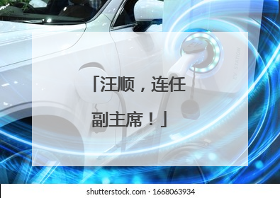 汪顺，连任副主席！