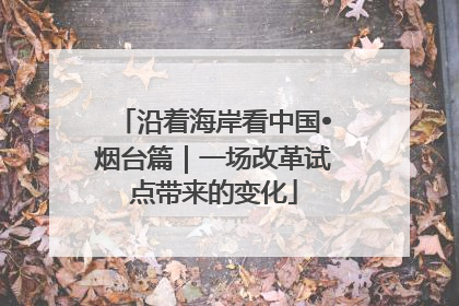 沿着海岸看中国•烟台篇｜一场改革试点带来的变化
