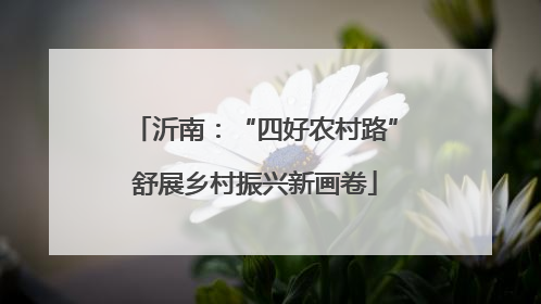 沂南：“四好农村路”舒展乡村振兴新画卷