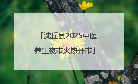 沈丘县2025中医养生夜市火热开市