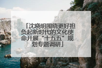 沈晓明围绕更好担负起新时代的文化使命开展“十五五”规划专题调研