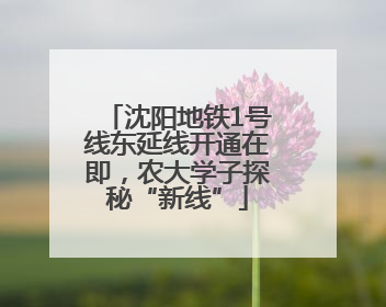 沈阳地铁1号线东延线开通在即，农大学子探秘“新线”