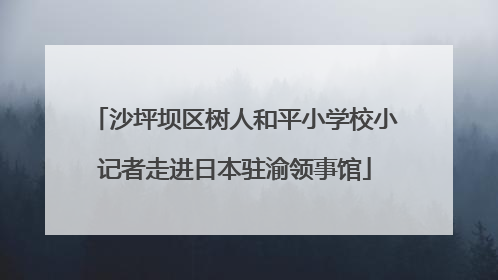 沙坪坝区树人和平小学校小记者走进日本驻渝领事馆