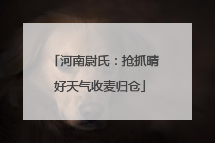 河南尉氏：抢抓晴好天气收麦归仓