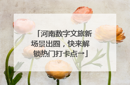 河南数字文旅新场景出圈，快来解锁热门打卡点→