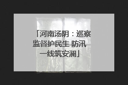 河南汤阴：巡察监督护民生 防汛一线筑安澜