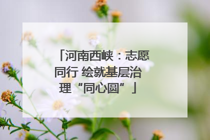 河南西峡：志愿同行 绘就基层治理“同心圆”