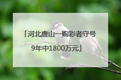 河北唐山一购彩者守号9年中1800万元