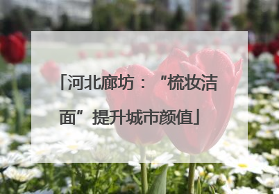 河北廊坊：“梳妆洁面”提升城市颜值