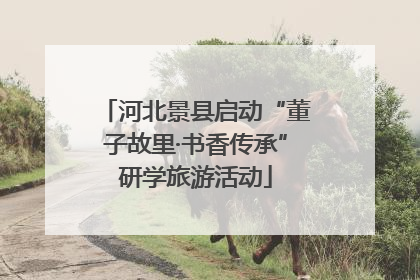 河北景县启动“董子故里·书香传承”研学旅游活动