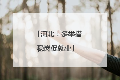 河北：多举措稳岗促就业