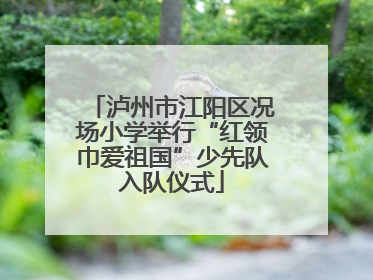 泸州市江阳区况场小学举行“红领巾爱祖国”少先队入队仪式