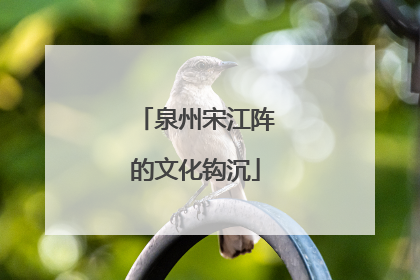 泉州宋江阵的文化钩沉