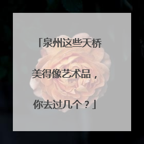 泉州这些天桥美得像艺术品，你去过几个？