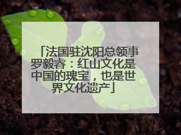 法国驻沈阳总领事罗毅睿：红山文化是中国的瑰宝，也是世界文化遗产