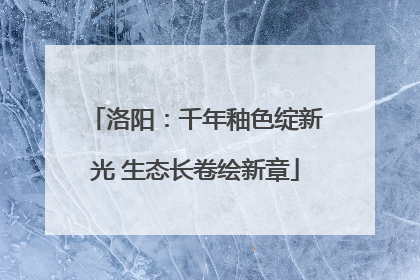 洛阳：千年釉色绽新光 生态长卷绘新章