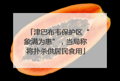 津巴布韦保护区“象满为患”，当局称将扑杀供居民食用