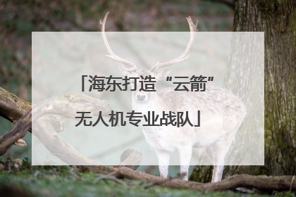 海东打造“云箭”无人机专业战队