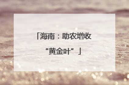 海南：助农增收 “黄金叶”