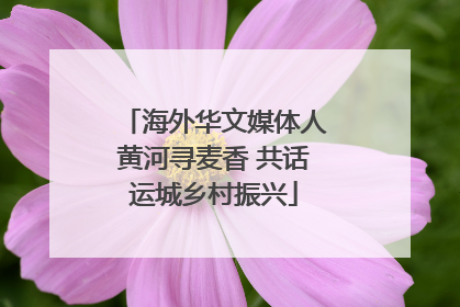 海外华文媒体人黄河寻麦香 共话运城乡村振兴