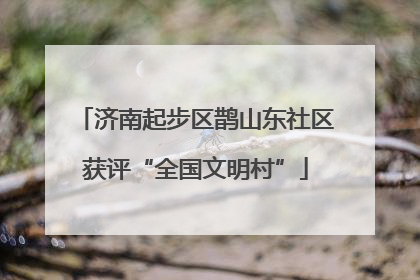济南起步区鹊山东社区获评“全国文明村”