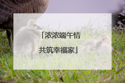 浓浓端午情 共筑幸福家