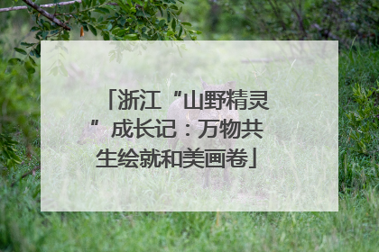 浙江“山野精灵”成长记：万物共生绘就和美画卷