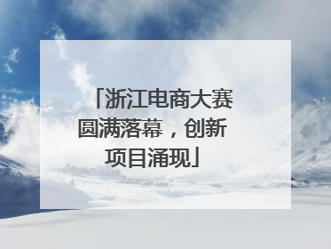浙江电商大赛圆满落幕，创新项目涌现