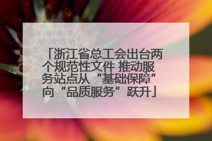 浙江省总工会出台两个规范性文件 推动服务站点从“基础保障”向“品质服务”跃升
