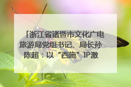 浙江省诸暨市文化广电旅游局党组书记、局长孙陈超：以“西施”IP激活全域旅游 打造县域文旅融合新标杆｜第七届全国县域旅游研究成果发布系列活动