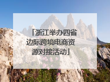 浙江举办四省边际跨境电商资源对接活动