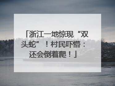 浙江一地惊现“双头蛇”！村民吓懵：还会倒着爬！