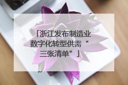 浙江发布制造业数字化转型供需“三张清单”