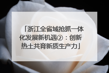 浙江全省域抢抓一体化发展新机遇②：创新热土共育新质生产力