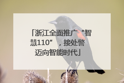 浙江全面推广“智慧110”，接处警迈向智能时代