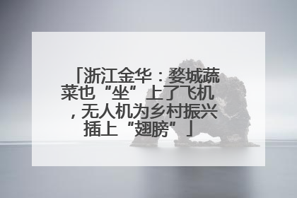 浙江金华：婺城蔬菜也“坐”上了飞机，无人机为乡村振兴插上“翅膀”