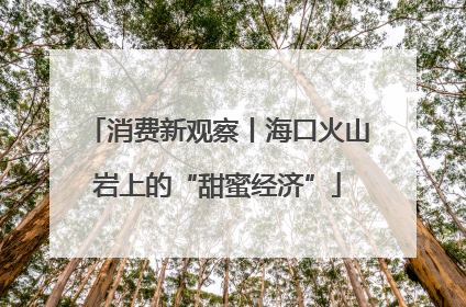 消费新观察丨海口火山岩上的“甜蜜经济”