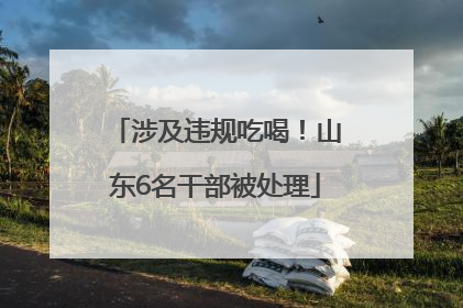 涉及违规吃喝！山东6名干部被处理