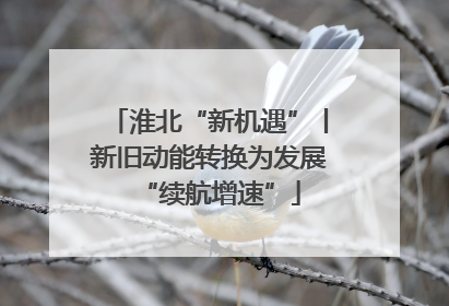 淮北“新机遇”丨新旧动能转换为发展“续航增速”
