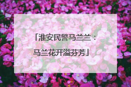 淮安民警马兰兰：马兰花开溢芬芳