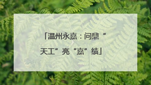 温州永嘉：问鼎“天工”亮“嘉”绩