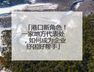 港口新角色！一家地方代表处，如何成为企业纾困好帮手