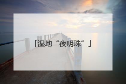 湿地“夜明珠”