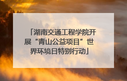 湖南交通工程学院开展“青山公益项目”世界环境日特别行动