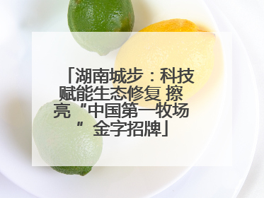 湖南城步：科技赋能生态修复 擦亮“中国第一牧场”金字招牌