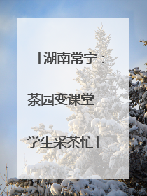湖南常宁：茶园变课堂 学生采茶忙