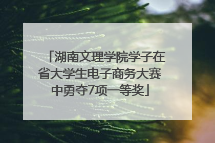 湖南文理学院学子在省大学生电子商务大赛中勇夺7项一等奖