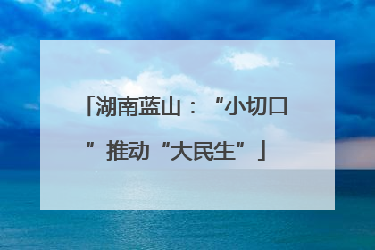 湖南蓝山：“小切口”推动“大民生”